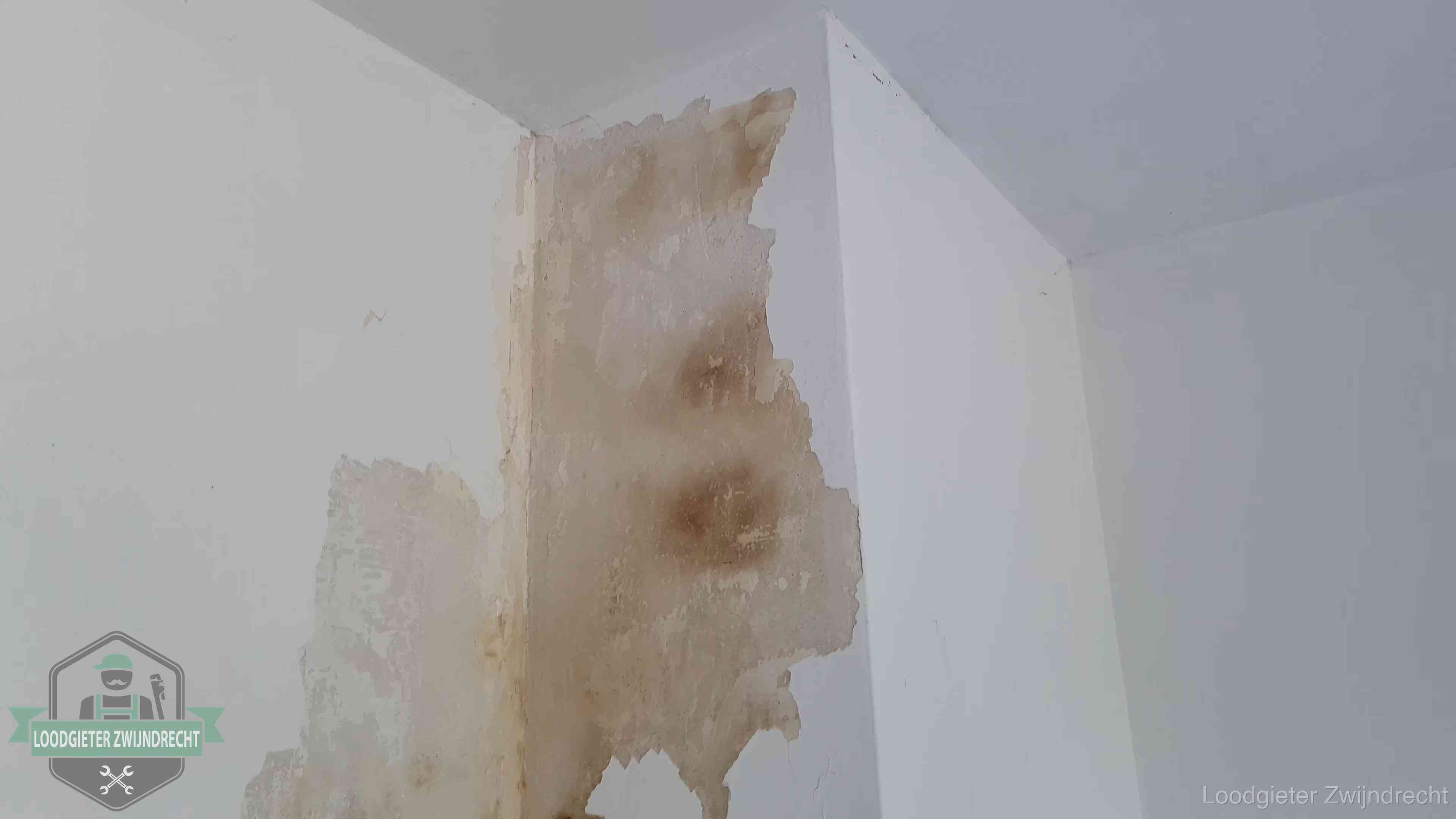 Bruine vochtkringen en afbladderend stucwerk op een binnenmuur in Zwijndrecht, een eerste teken van daklekkage