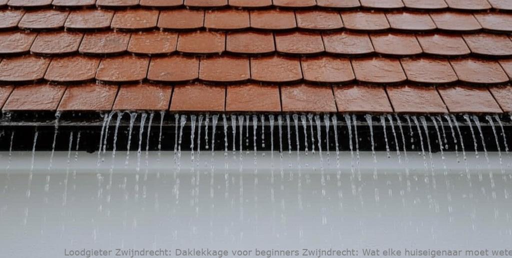 Daklekkage Voor Beginners Zwijndrecht