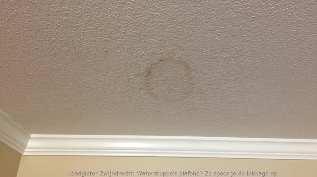 Lekkage Plafond Zwijndrecht