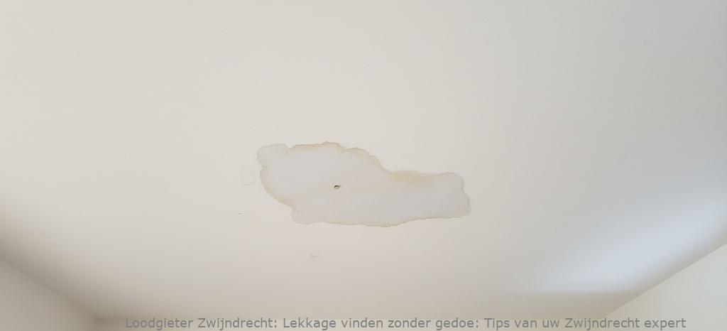 Lekkage Vinden Zwijndrecht