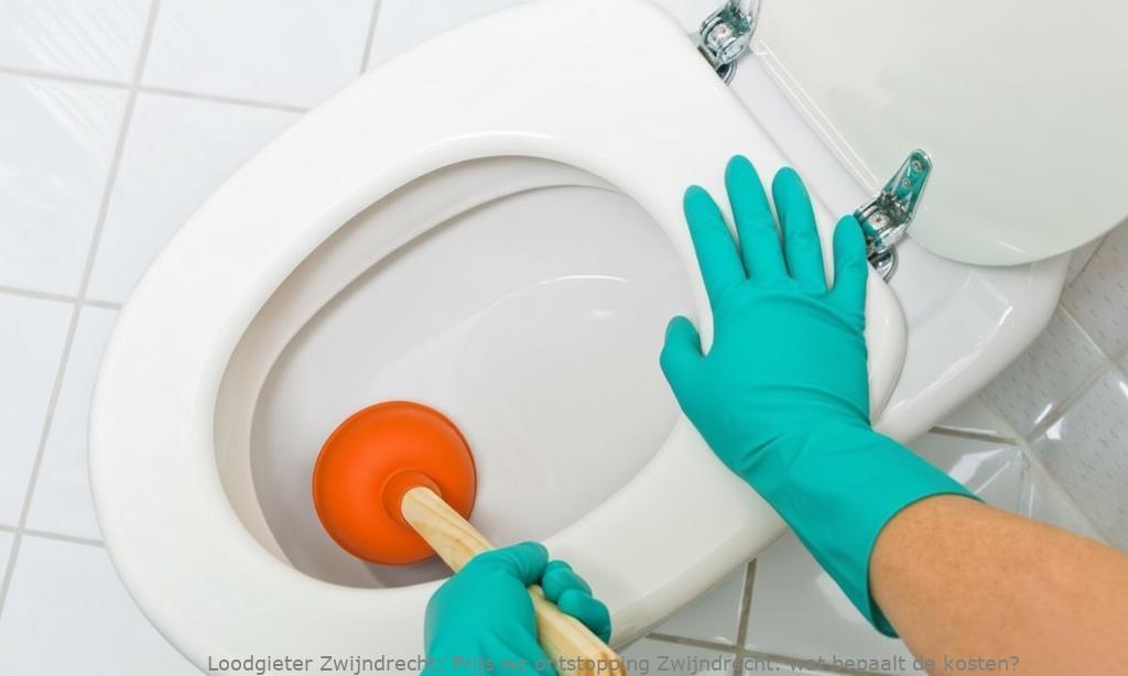 Prijs Wc Ontstopping Zwijndrecht