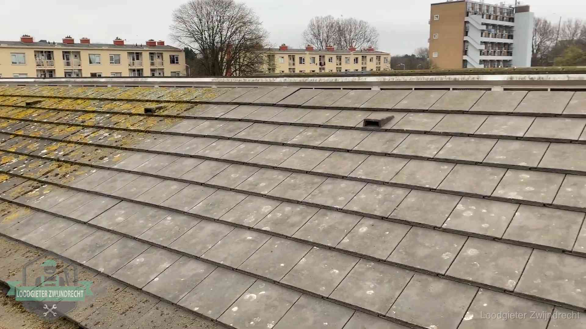 Schuin dak met betonpannen vol mos in Zwijndrecht, een risico op lekkage bij de pannen
