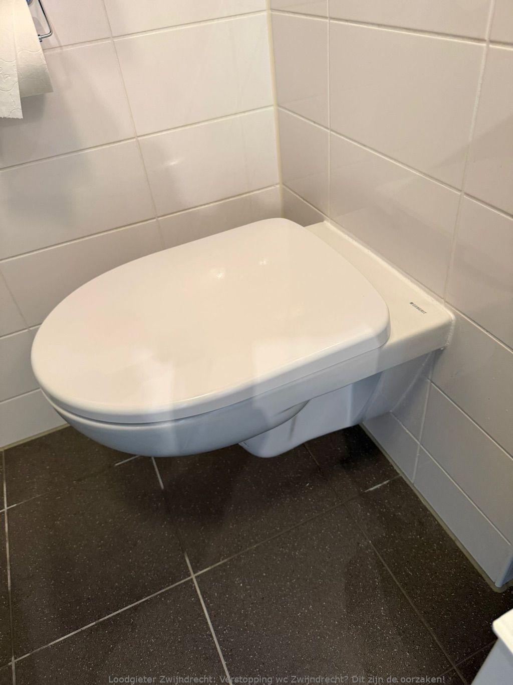 Tips Wc Verstopping Voorkomen Zwijndrecht