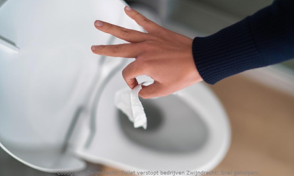 Toilet Verstopt Bedrijven Zwijndrecht