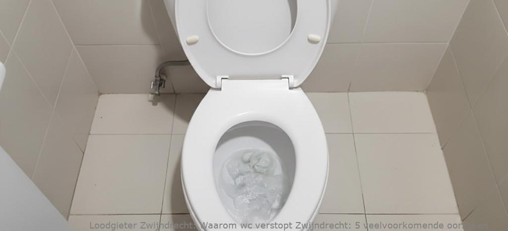 Waarom Wc Verstopt Zwijndrecht
